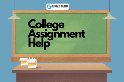 College Assignment Help