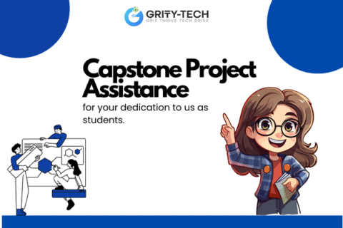 Capstone Project Assistance
